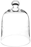 Plymor Brand Glass Bell Jar Cloche Display Dome - 10" x 13"