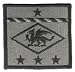 13th Finance Group Army Patch Acu with Velcro®