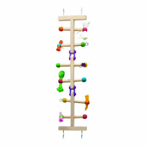 Kaytee forage-n-play ladder, small bird cage
