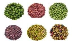 Italian Mini Olive Sampler 6x4oz.