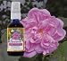 Flower Essence Services Benediction Oil 2 oz oil Image