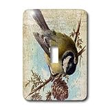 Cassie Peters Digital Art - Vintage Bird With Texture Added by Angelandspot - Light Switch Covers - single toggle switch