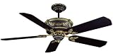 Ellington Ceiling Fans Baroque Model BAR52MBAG5RCD in Matte Black. Indoor fan.
