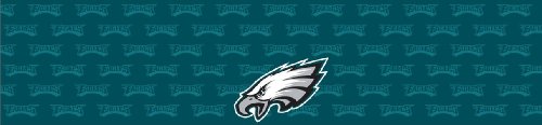 Philadelphia Eagles Team Auto Visor Decal