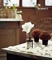 CONCENT カタログギフト ミストラル 総合 ギフト Sorrel ソレル