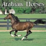 2008 Arabian Horses 2008 16 Month Wall Calendar **IN STOCK NOW**