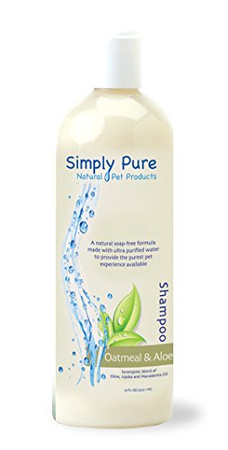 Davis Pure Planet Oatmeal & Aloe Pet Shampoo, 16 oz