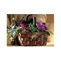 Basket of Violets