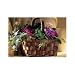 Send Flowers of Mixed African Violet Basket
