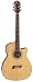 Michael Kelly Nostalgia N40CE N40CE Acoustic Electric Guitar