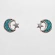 Tiny Moon & Star Earrings in Sterling Silver with Turquoise Inlay, #9509