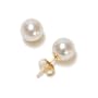 14k Yellow Gold 7.5x8mm AAA Akoya Cultured Pearl Earrings