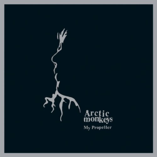 Arctic Monkeys Photo 4