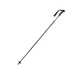 Dynastar Exclusive Carbon Ski Poles