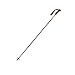 Sporting Goods : Dynastar Exclusive Carbon Ski Poles - 2006