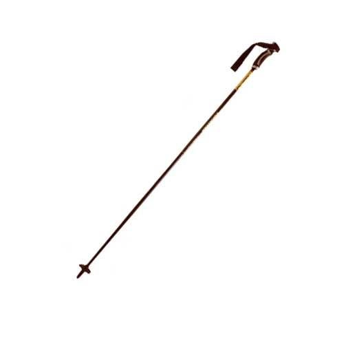 Dynastar Exclusive Carbon Ski Poles   2006