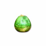 Bird Brain Pele Firepot,  Marine