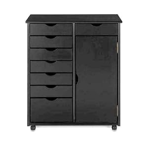 Stanton 7 + 1 Drawer Double - wide Storage Cart With Door, 35.5Hx29W, BLACK by Home Decorators Collection