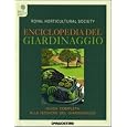 Dettagli prodotto