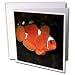 Tropical Fish - Clownfish - Greeting Cards-6 Greeting Cards with envelopes