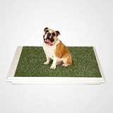 K9 Potty~ K9 Grass Mat~ Indoor Dog Potty ~ Designed Specifically for Dogs~ Approx 31 X 21 X 4