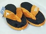 Texas Longhorns