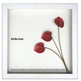 �s�t�����[�t���[���tF-style Frame Anthurium /red�i�A���X���E��/���b�h�j