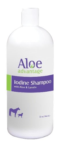 Aloe Iodine Shampoo
