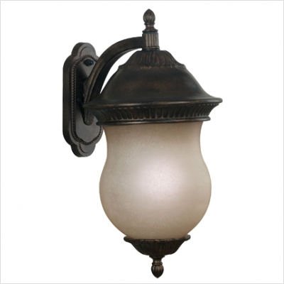Kenroy Home 80542GBRZ Repartee One-Light Large Wall Lantern with 9-Inch French Scavo Glass Shade