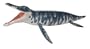 Safari Carnegie Collection - Kronosaurus