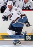 2006-07 Upper Deck #446 Donald Brashear