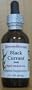 Black Currant (Ribes Nigrum) 1DH (2 oz)