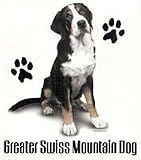 Greater Swiss Mountain Dog Shirts