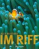 Im Riff - Alex Mustard