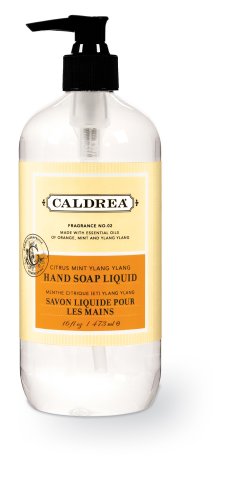 Caldrea Hand Soap Liquid, Citrus Mint Ylang Ylang, 16-Ounce Bottles (Pack of 6) by Caldrea