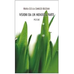 Visioni da un mondo a parte (Letteratura)