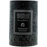Archipelago Botanicals 4 x 6 Pillar Candle: Stonehenge