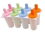 6 section reuseable ice lolly maker