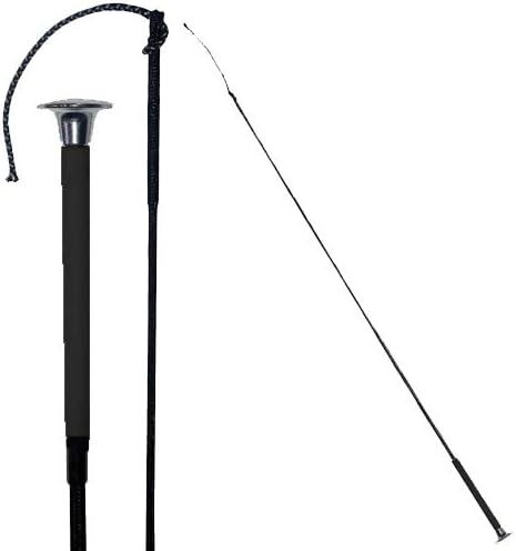 Dressage Whip