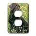 Dogs Labrador Retriever - Chocolate Labrador Retriever - Light Switch Covers - 2 plug outlet cover