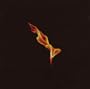 Dark on Fire