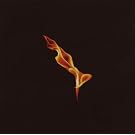 Dark on Fire