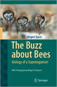 The Buzz about Bees: Biology of a Superorganism 1st (first) edition Text Only