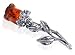 Jewelry : New Genuine Sterling Silver Rose buds Amber Pin Brooch