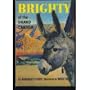 Brighty of the Grand Canyon
