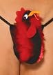 Rooster Pouch (As Shown;Men's One Size)