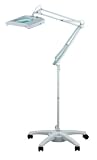 Professional Fluorescent 7.5 x 6.25 Magnifier Floor Lamp - Heavy-Duty Roller Stand - 5 Diopter
