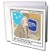 Londons Times Religion Heaven Hell Cartoons - Sometimes Internet Connections Take The Patience Of Job - Greeting Cards-6 Greeting Cards with envelopes