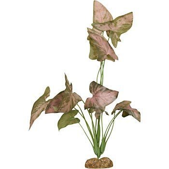 PETCO Silk Syngonium Background Aquarium Plant