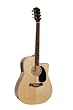 Eagletone DG1CE Dreadnought Acoustic Electric Guitar in a Natural Gloss Finish